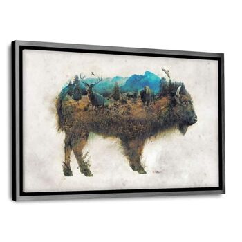 Buffalo World - Image alu-dibond 7