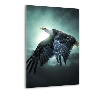 Flying Eagle - Alu-Dibond Bild