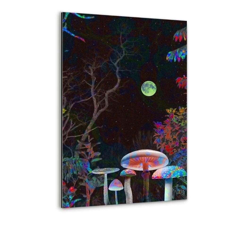 Silencio Nocturno - imagen Alu-Dibond