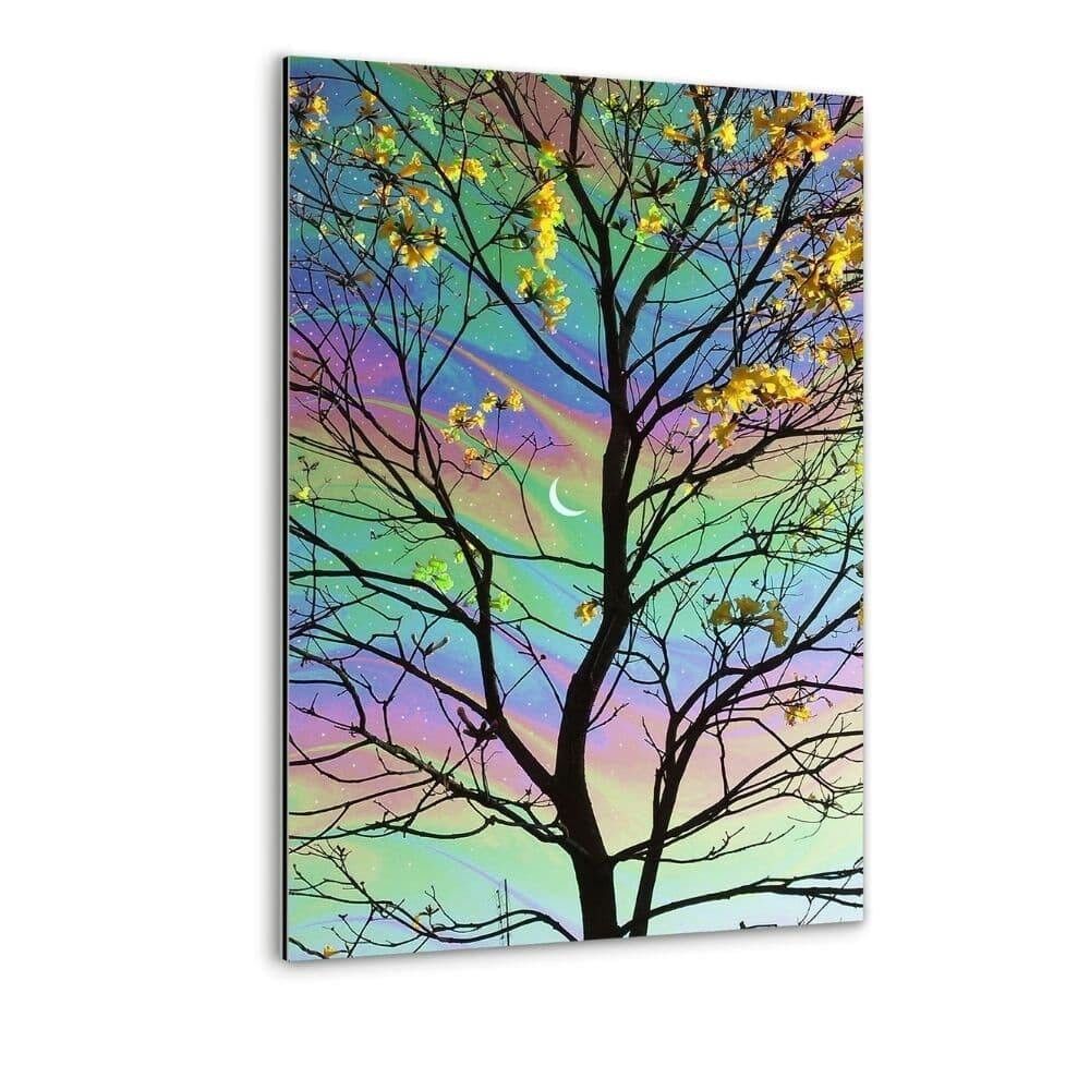 Albus - Alu-Dibond Bild