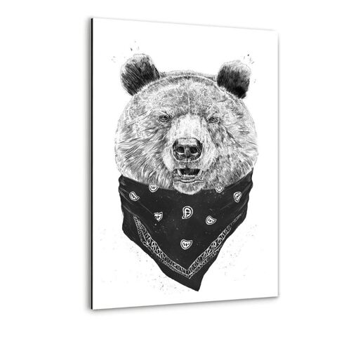 Wild Bear - Alu-Dibond Bild