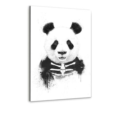 Zombie Panda - Immagine in alluminio Dibond