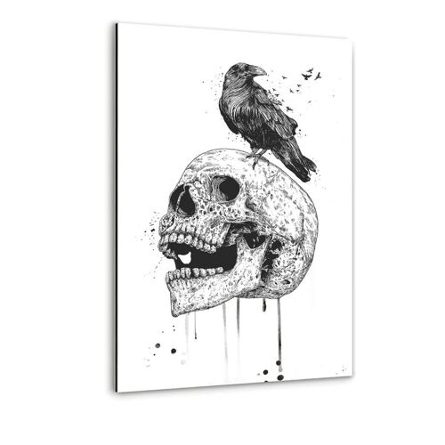 The Skull b/w - Alu-Dibond Bild