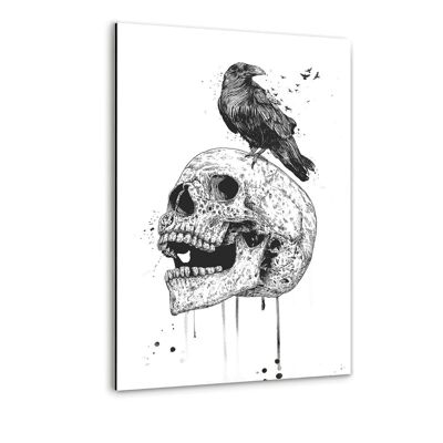 The Skull b/w - Alu-Dibond image