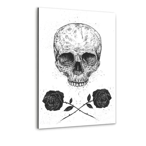 Skull N Roses - Alu-Dibond Bild