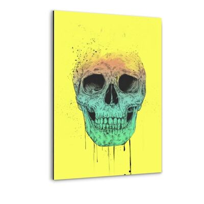 Pop Art Skull - Alu-Dibond Bild