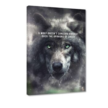 Wolf Mentality - Image Alu-Dibond 3