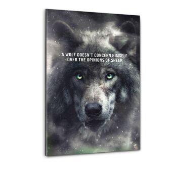 Wolf Mentality - Image Alu-Dibond 4