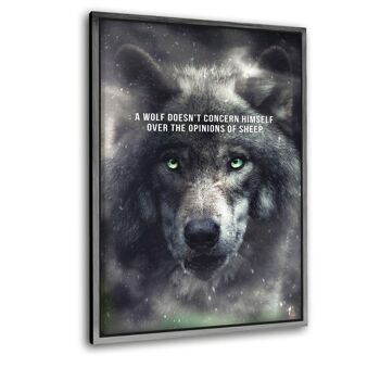 Wolf Mentality - Image Alu-Dibond 6