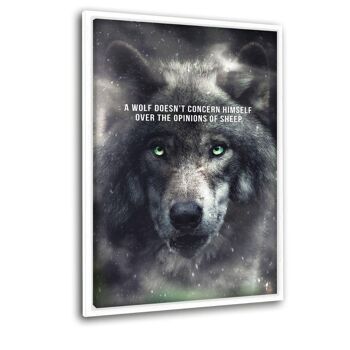 Wolf Mentality - Image Alu-Dibond 7