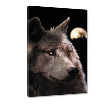 Loup Lune - Image Alu-Dibond 3