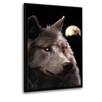 Loup Lune - Image Alu-Dibond 5