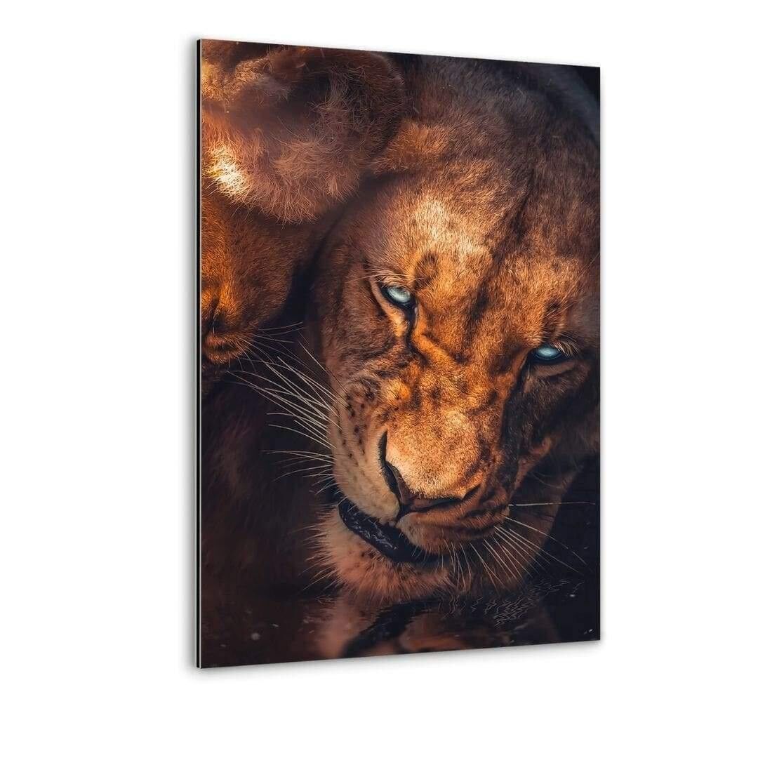 Unconditional Love - Alu-Dibond Bild