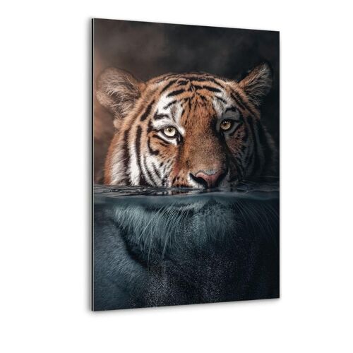 Underwater Tiger - Alu-Dibond Bild