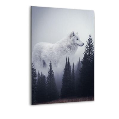 El lobo solitario - imagen Alu-Dibond