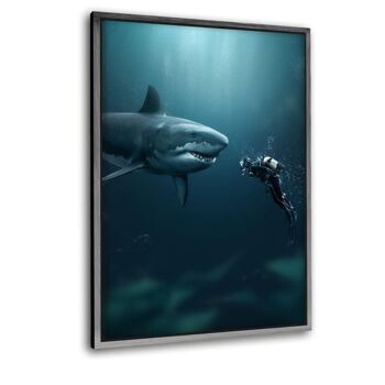 Shark x Diver - Image Alu-Dibond 7