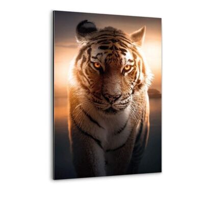 Majestic Tiger - Alu Dibond print
