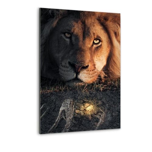 Lion & Fossil - Alu-Dibond Bild