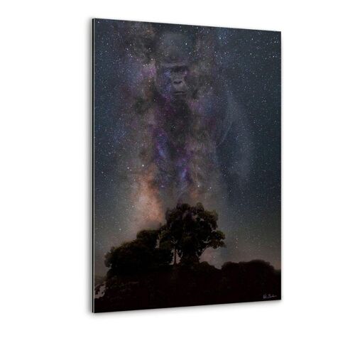Galaxy Gorilla - Alu-Dibond Bild