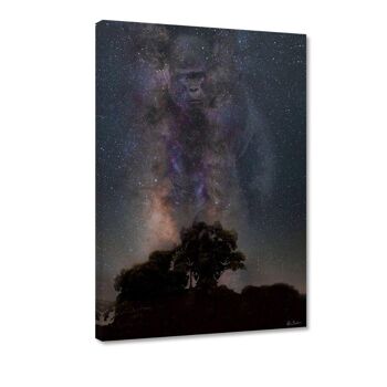Galaxie Gorille - Image Alu-Dibond 4