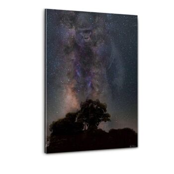 Galaxie Gorille - Image Alu-Dibond 5