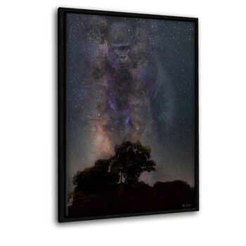 Galaxie Gorille - Image Alu-Dibond 6