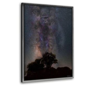 Galaxie Gorille - Image Alu-Dibond 7