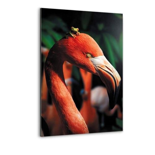 Flamingo And The Frog - Alu-Dibond Bild