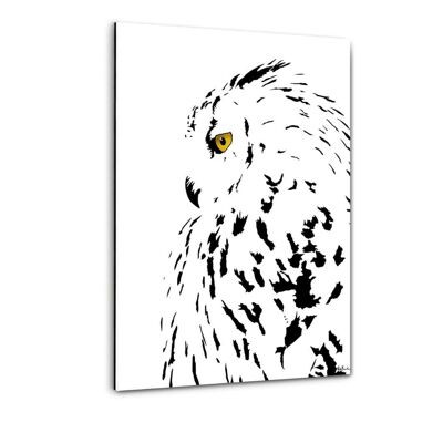 The snowy owl - Alu-Dibond image