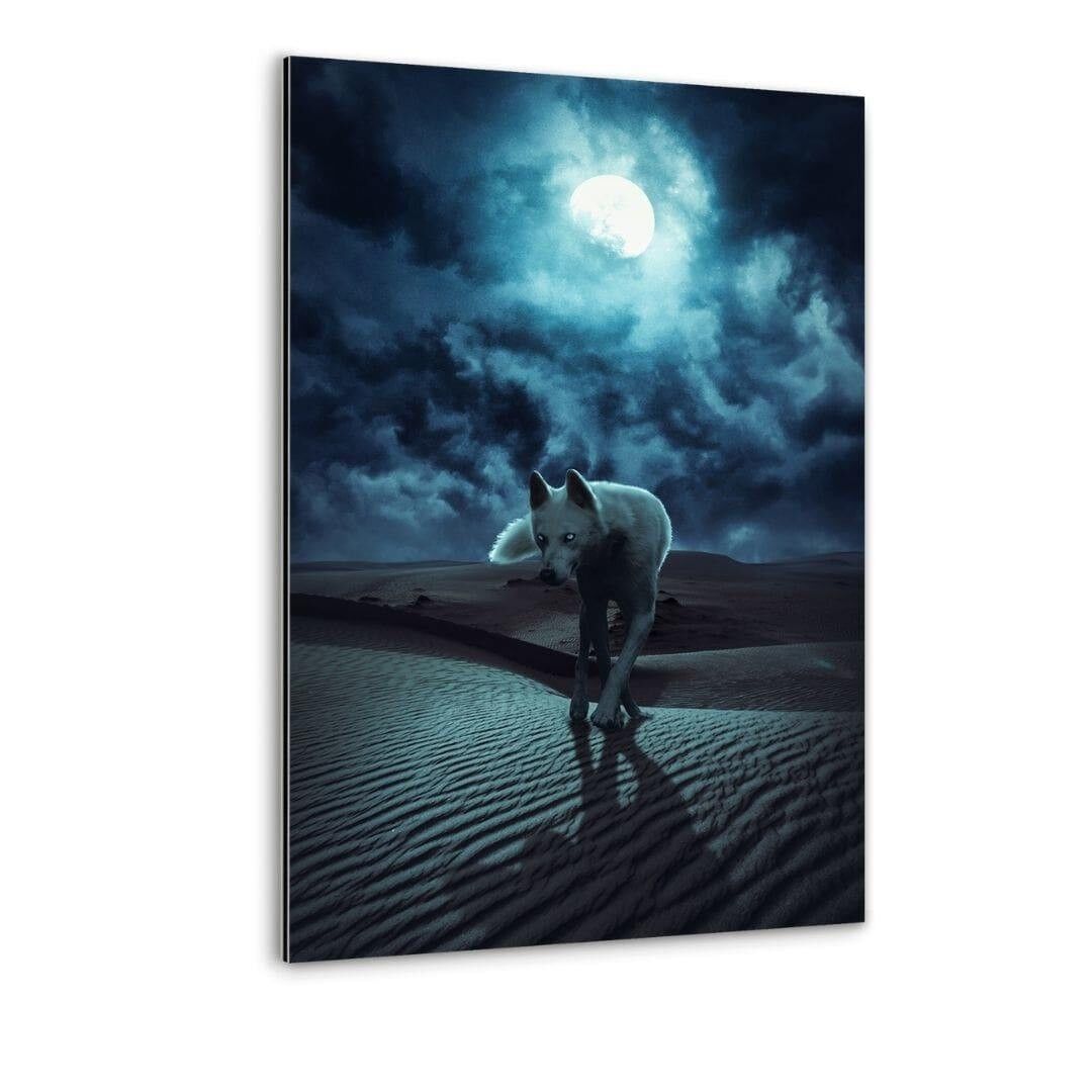Desert Wolf - Alu-Dibond Bild