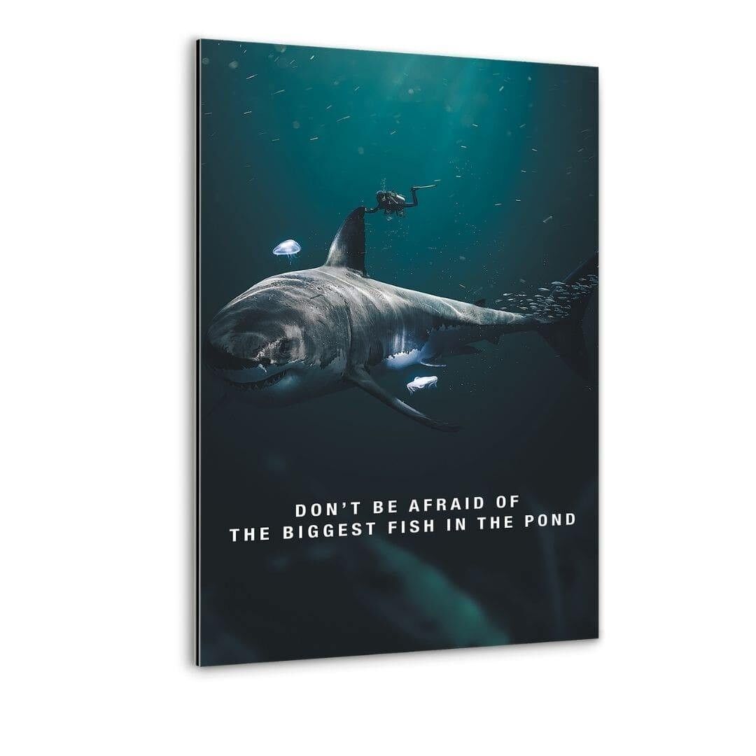 El pez más grande del estanque - Impresión Alu-Dibond