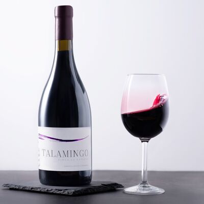 Vino tinto Syrah 2020