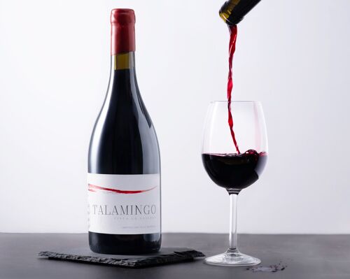 Vino tinto Cabernet/ Merlot 2019