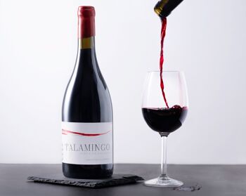 Vin rouge Cabernet/Merlot 2019 1