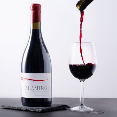 Vin rouge Cabernet/Merlot 2019