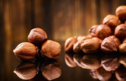 Nocciole Sgusciate Intere Biologiche Dalla Francia - 500g - HECOSFAIR