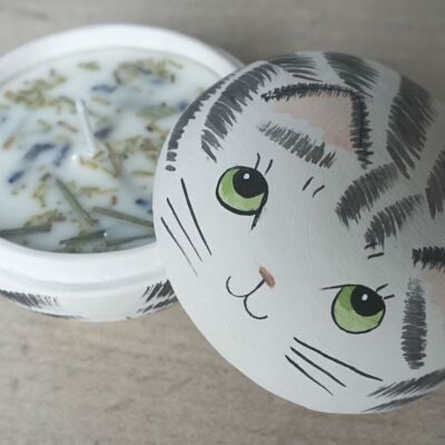 Un pot de bougie de chat de notre jardin - Grey Tabby