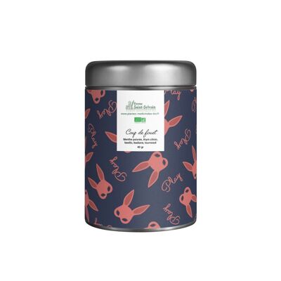 Boost 40g - ORGANIC herbal tea of peppermint, lemon thyme, basil, star anise