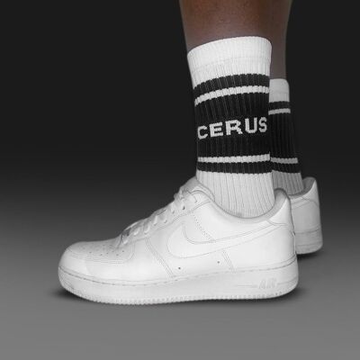 Cerus Crew Socks (2 Pairs)