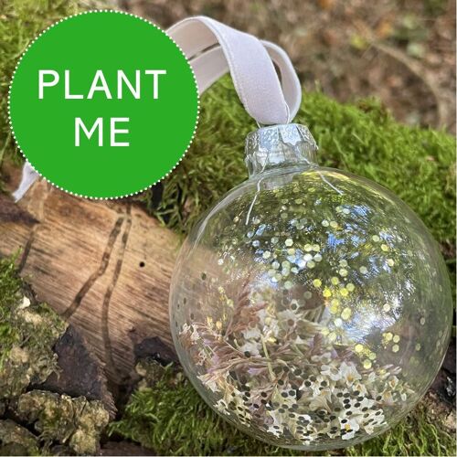 Glass Bauble Christmas Decoration with Seeds & Dried Flowers | Eco-friendly Decor