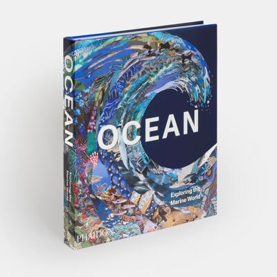 Océan, Explorer le monde marin