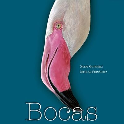 Bocas. Animales extraordinarios