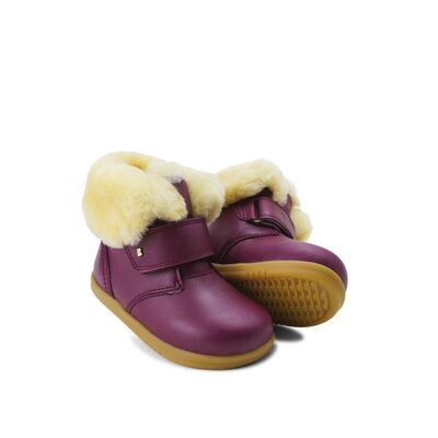 IW Désert Arctic Boysenberry