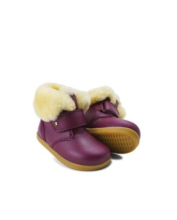 IW Désert Arctic Boysenberry 1