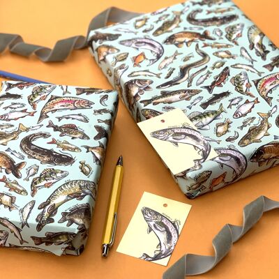 Freshwater Fish of Britain Wrapping Paper