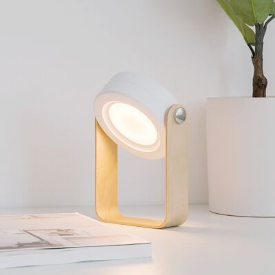 Desk lamp, LED, touch control, rechargeable, USB charging, hanging light as table lamp/camping light