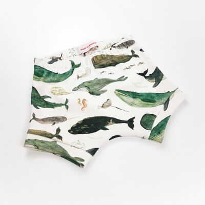 Whale Song - Shorts