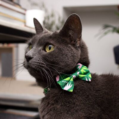 Combs Cat Bow Tie