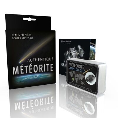 Météorite ferreuse : Campo del Cielo taille L