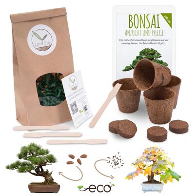 Bonsai Starter Kit Anzuchtset inkl. GRATIS eBook - Pflanzset aus Kokostöpfen, Samen & Erde (Mittelmeer Pinie + Amerikanischer Amberbaum)